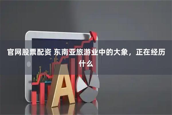 官网股票配资 东南亚旅游业中的大象，正在经历什么
